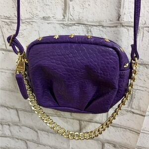 Steve Madden Purple Crossbody Purse  With Gold Chain